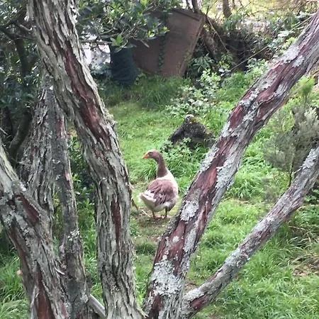 Intact Farm Κατάλυμα σε φάρμα *