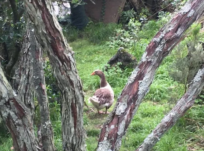 Intact Farm Alloggio per agriturismo *