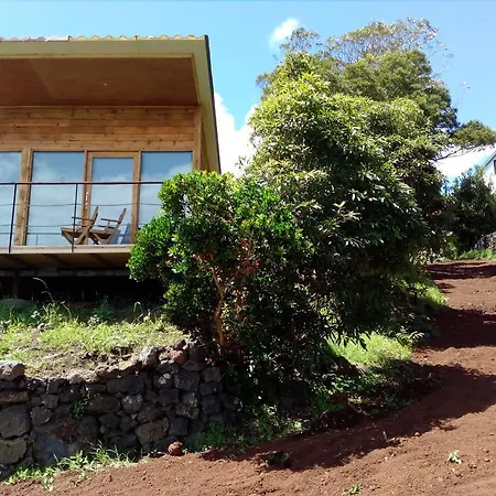 Intact Farm * Velas