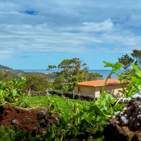 Intact Farm Velas