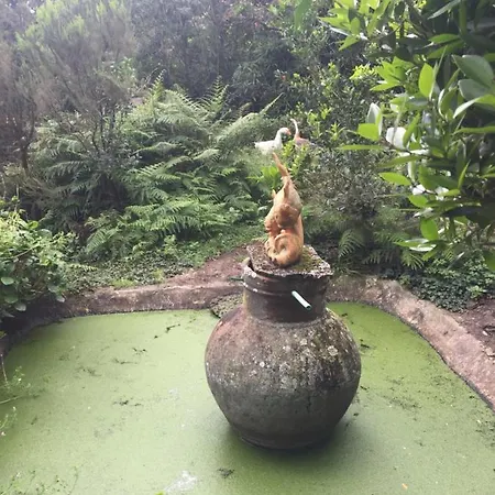 Farm stay Intact Farm Velas