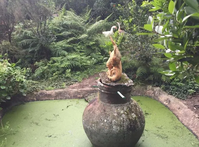 Farm stay Intact Farm Velas